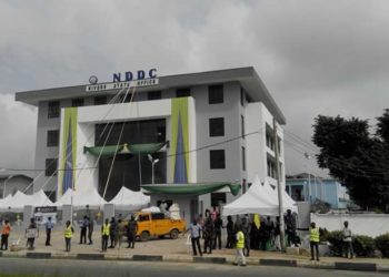 Battle Over NDDC Board Appointment Rages, PANDEF Slams Politicians