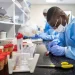 Biovaccines Awaits FEC’s Approval To Commence Local Production Of Vaccines 5 vaccines