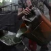 Oil