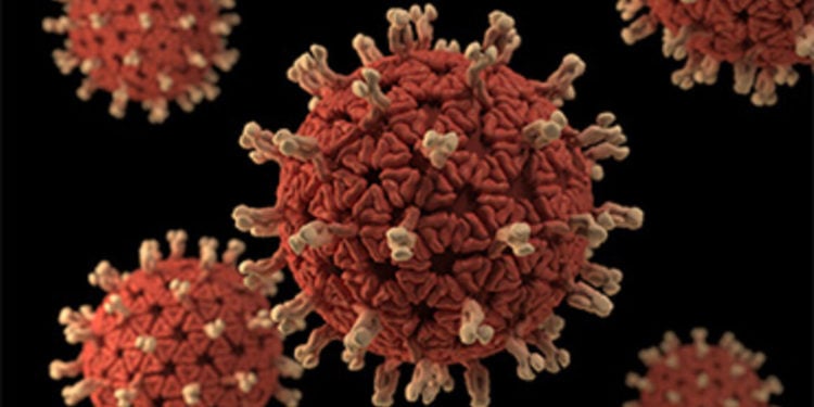 Rotavirus