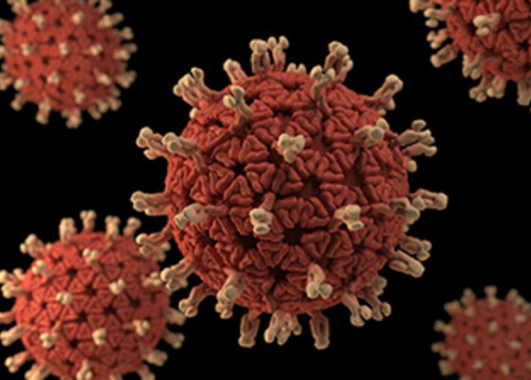 Rotavirus