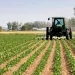 Sahara Farms, Ministry Partner To Establish Living Lab In Niger Delta 5 Sahara