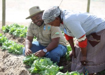 UNDP Commends FG’s Efforts On Climate Smart Agriculture