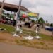 Protest In Taraba Over LG Caretaker Chair Appointment