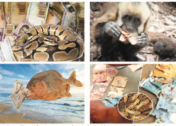 Return Of ‘Animal Farm’: As Animals Stage Revolution With Money, Voucher Swallowing