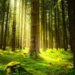 environment