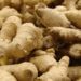 Ginger