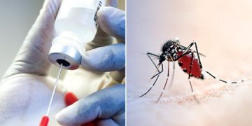 Stakeholders Advocate Local Financing To End Malaria Scourge 2 US Backs Nigeria’s Disease Surveillance, Response With Modern Lab