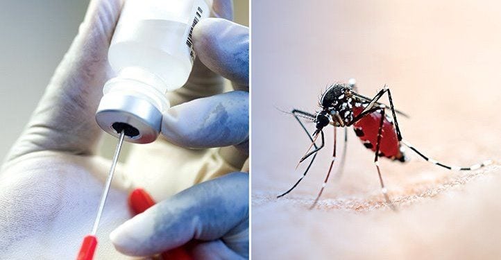 Malaria