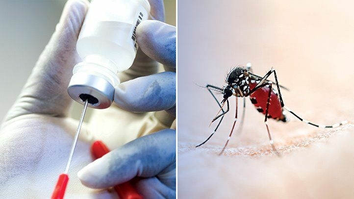 HAYCEY Decries High Death Rate From Malaria Scourge 1 malaria