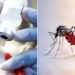 US Backs Nigeria’s Disease Surveillance, Response With Modern Lab