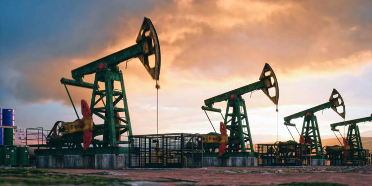 Oil