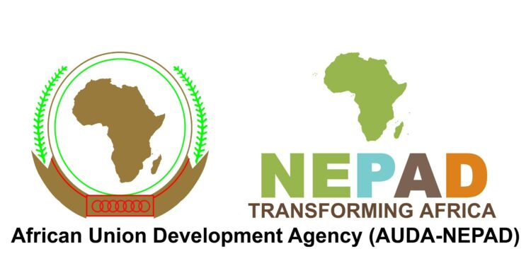 AUDA-NEPAD logo