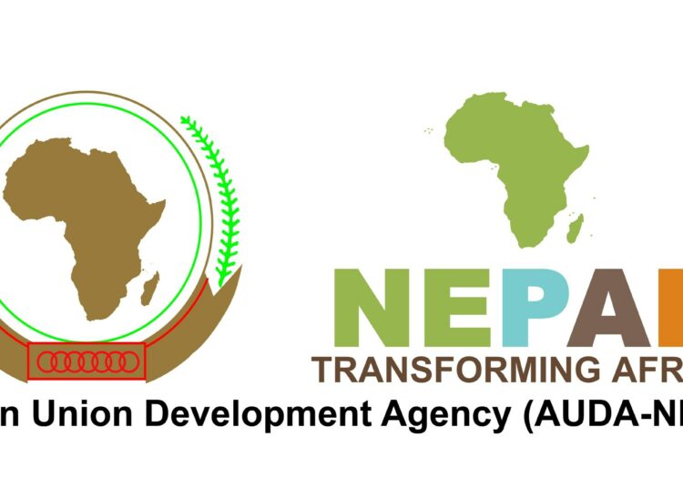 AUDA-NEPAD logo