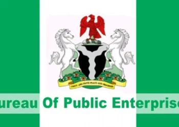 Expert Rejects BPE Proposal To Sell 5 NIPP/NDPHC Power Plants