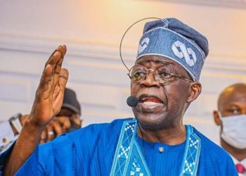 Nigerian Professionals Declare Support For Tinubu, Shettima