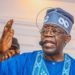 Nigerian Professionals Declare Support For Tinubu, Shettima