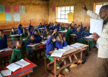 World Literacy Day: Institutions Urged To Prioritise Digital Learning