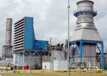 Egbin Power Advances Energy Transition Drive, Appoint New CEO