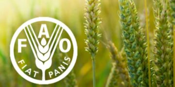 Top FAO Officials Arrive Nigeria Today