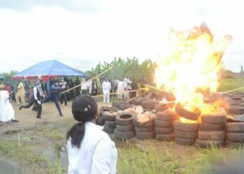 NDLEA Sets N194bn 1.8 Tons Cocaine Ablaze