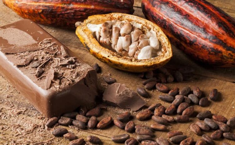 Cocoa