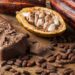 Southern Nigeria Cocoa Farmers To Benefit From $22m US Support