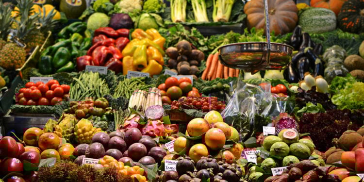 GMO Foods