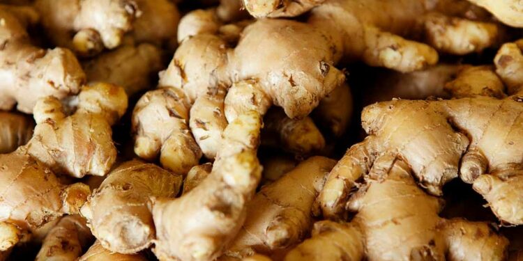 Ginger Export