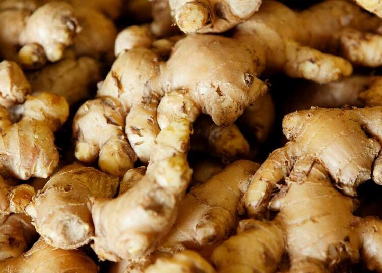 Ginger Export