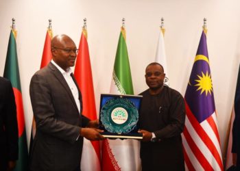 D-8 Countries Pledge Support For Nigeria’s Energy Transition Plan 