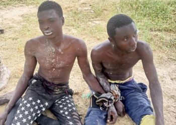 Troops Kill Scores Of Terrorists, Rescue Kidnap Victims In Borno