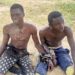 Troops Kill Scores Of Terrorists, Rescue Kidnap Victims In Borno