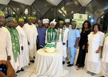 2023: Tinubu Best For Nigeria, Kwara Gov Tells Nigerians In Diaspora