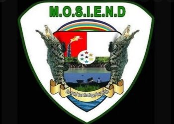 Nigeria @ 62: Niger Deltans Have Nothing To Celebrate – MOSIEND