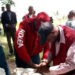 NDLEA Seizes 150kg Of Psychotropic Drugs In Gombe