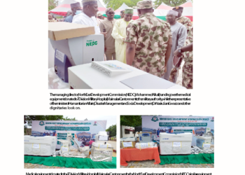 How NEDC Is Healing Borno’s Insurgency Victims