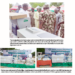How NEDC Is Healing Borno’s Insurgency Victims