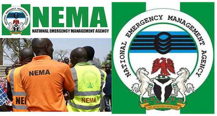 NEMA Assists Gombe Cholera Outbreak Survivors 1 National Emergency Management Agencys NEMA 1