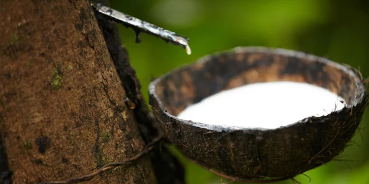 Natural Rubber
