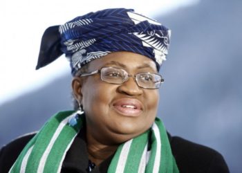Iwuanyanwu, Okonjo-Iweala, Elumelu, 54 Others Mobilise For Devt Of Igboland