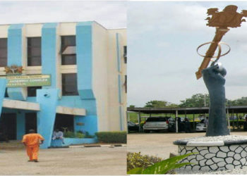 Niger Assembly Recommends 15 LG Chairmen’s Suspension, N600m Refund