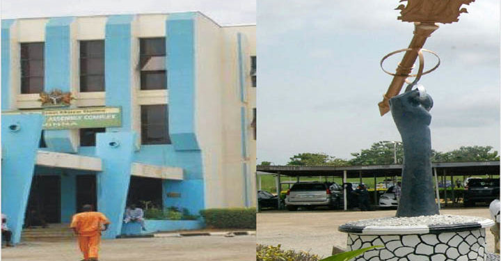 niger assembly
