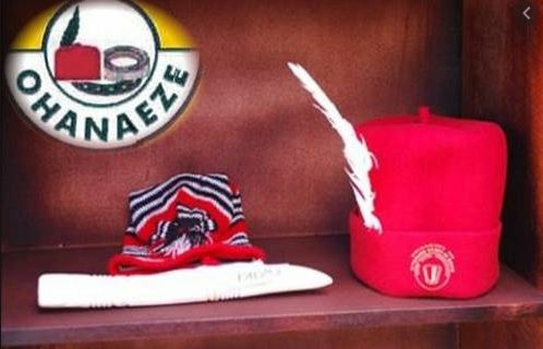 Ohanaeze Demands Probe Of Alleged Killing Of 100 Northerners In South East 1 Ohanaeze Ndigbo 1 1