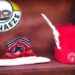 World Igbo Day Celebration Cancelled Over Leadership Crisis