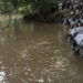 Osun River: Inspite Of Government’s Warning Of Pollution, Worshippers Still Believe In Its Spiritual Powers