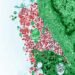 Fragmented Approaches Hampering Control Of Rabies Disease – AU