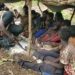 Troops Kill Several Bandits, Rescue 10 Hostages In Kaduna