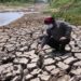 Glow Intiative, Access Bank Lament Climate Change Impacts In Nigeria