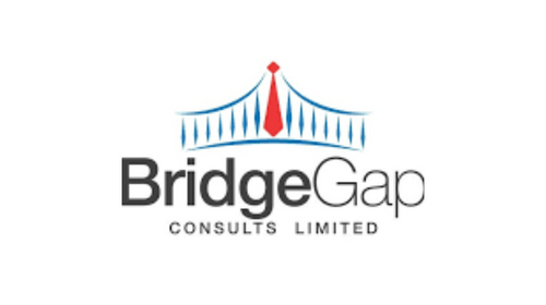 56 Bridge App Set To Simplify Recruitment Process 1 bridgegap